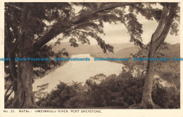 R166181 No. 20. Natal. Umzimkulu River. Port Shepstone. Union Of South Africa - Monde
