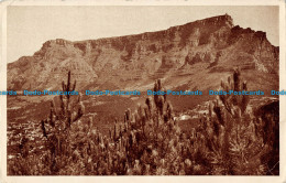 R166200 Table Mountain Showing Lower And Upper Cableway Stations. S. A - World
