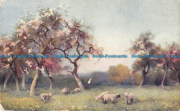 R166206 Painting. Postcard. 1917 - World