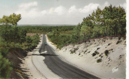 17 -   Route Touristique En Forêt De La Coubre   ** CPSM - Vierge ** - Autres & Non Classés