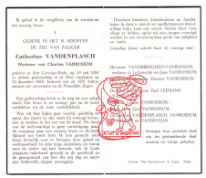 DP Catherine Vandenplasch ° Sint-Genesius-Rode 1884 † 1960 Vanrossum Vanobberghen Demunter Leemans Swalens Vansintjan - Devotion Images