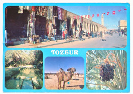 CPSM 10.5 X 15 Tunisie  TOZEUR  Les Commerces Et Le Minaret   L'Oasis  Dromadaire  Les Dattes Dans Le Palmier - Tunisie