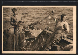 CPA Les Sables-d`Olonne, La Pêche à La Sardine  - Sables D'Olonne