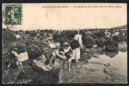 CPA Trouville-sur-Mer, A La Recherche Des Crabes Dans Les Roches Noires  - Other & Unclassified