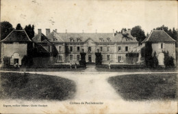 CPA Puellemontier Haute Marne, Chateau - Other & Unclassified