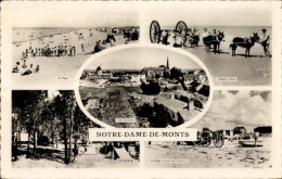 CPA Notre Dame De Monts Vendée, Strand, Zugtiere Am Strand, Gesamtansicht, Camping - Other & Unclassified