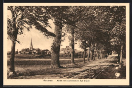 AK Rosenau, Allee Mit Durchblick Zur Stadt  - Other & Unclassified