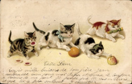 Lithographie Vier Katzen Mit Plätzchen Und Apfel - Other & Unclassified