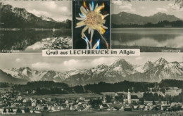 Material CPA Lechbruck Am See Allgäu Schwaben, Echte Pflanze, Edelweiß, Forggensee - Autres & Non Classés