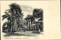 CPA Calcutta Kolkata Kalkutta Indien, Zoologische Gradens - Inde