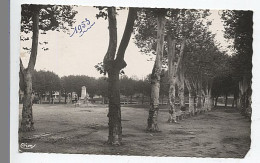 X124809 AIN CHATILLON SUR CHALARONNE LA PLACE MONUMENT AUX MORTS - Châtillon-sur-Chalaronne