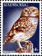 Luxembourg Poste N** Yv:1083 Mi:1133 Athene Noctua - Unused Stamps