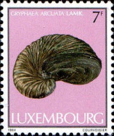 Luxembourg Poste N** Yv:1058 Mi:1108 Gryphaea Arcuata Lamk - Ungebraucht