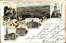 Lithographie Sebnitz In Sachsen, Kirche, Postgebäude, Rathaus, Grenadierburg, Panorama Vom Ort - Autres & Non Classés