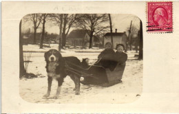 CHILDREN IN SLED DOG PHOTO CARD TO BE IDENTIFIED - Autres & Non Classés