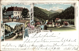 Lithographie Mürzsteg Steiermark, Alois-Grabner-Gasthof, Gesamtansicht - Other & Unclassified