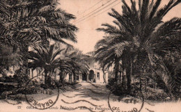 CPA - ORAN - Le Cercle Militaire Allée Des Palmiers - Edition L.L. - Oran