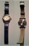 Montre Imitation Chronographe Des PFG ROBLOT _Di191 - Advertisement Watches
