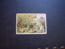 Original Old Card Chromo Liebig S 171 Canards Aux Navets - Liebig