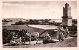 CPA - EL OUED - La Mosquée Et Les Jardins Du Souf - Edition Djermoun-Sadok - El-Oued