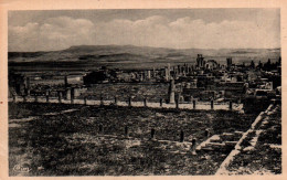 CPA - TÉBESSA - Ruines De La Basilique - Edition Combier - Tebessa