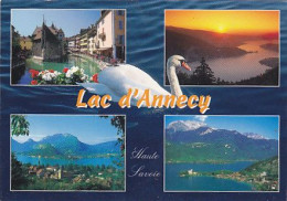 AK 215009 FRANCE - Lac D'Annecy - Autres & Non Classés