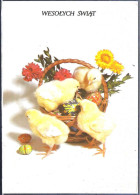 Wesolych Swiat - Joyeuses Pâques - Poussins - Easter