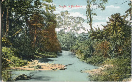 Honduras Jungle Postcard Ed Doubleday - Honduras