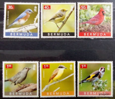 Bermuda 2023, Backyard Birds, MNH Stamps Set - Bermuda