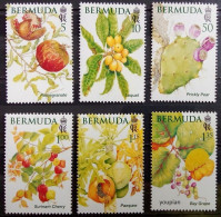 Bermuda 2024, Bermuda Fruits, MNH Stamps Set - Bermuda