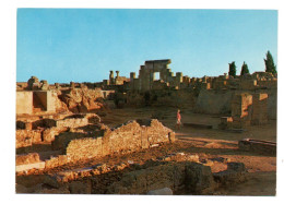 Coucher De Soleil Sur Les Ruines De Carthage - Tunisie