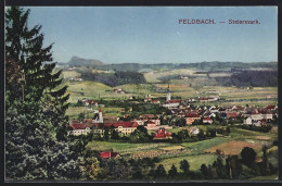 AK Feldbach /Steiermark, Totalansicht Mit Hinterland  - Other & Unclassified