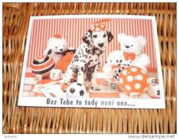 Hund Dog Chien Dalmatiner ,Dalmatian,Dalmatien Postcard,Postkarte - Chiens