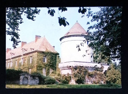 Cp, 78, Maule, Le Château, Voyagée 1975, Ed. Estel - Maule