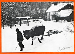 N° 10 1978 Chasse Neige Avec Boeuf Ferme Hiver 88 Vosges Vieux Métiers Aymard Exposition Photo Sapois Vagney - Farmers