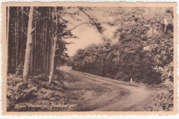 Klein Paradijs, Beekbergen - (Nederland/Holland) - Apeldoorn