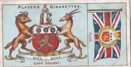 21 Cape Colony, South Africa - Countries Arms & Flags 1905 - Players Cigarette Cards - Antique - Player's