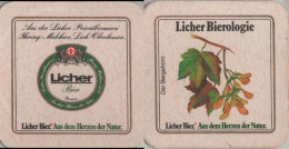 5005990 Bierdeckel Quadratisch - Licher - Beer Mats