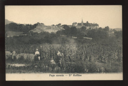 57 - SAINTE-RUFFINE - SERIE "AU PAYS MESSIN" - LES VIGNES - EDITEUR G. FORISSIER, METZ - Autres & Non Classés