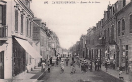 80 - Somme - CAYEUX Sur MER - L Avenue De La Gare - Cayeux Sur Mer