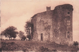 38 - Isere - ANJOU - Ruines Du Chateau De M De La Blache - Other & Unclassified