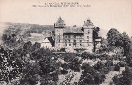 15 - Chateau De MESSILHAC  Pres Raulhac - Autres & Non Classés