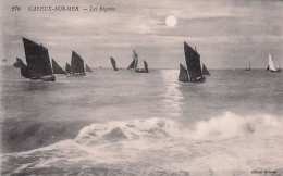 CAYEUX  Sur MER - Les Regates - Cayeux Sur Mer