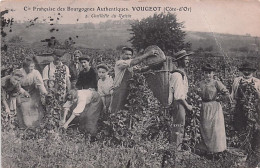 21 - VOUGEOT - Cie Française De Bourgognes Authentiques - Cueillette Du Raisin - Autres & Non Classés