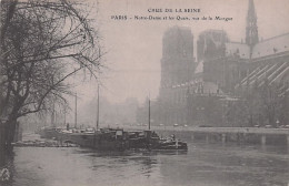 75 - Inondations De PARIS - 1910 -  Notre Dame Et Les Quais Vus De La Morgue - Inondations De 1910
