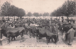 59 - DOUAI - Le Marché Aux Vaches - Place Du Barlet - 1914 - Douai