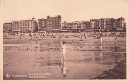 BLANKENBERGE - BLANKENBERGHE  - Le Centre De La Digue - Blankenberge