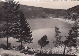 AK 215038 FRANCE - Les Hautes Vosges - Le Lac Blanc - Autres & Non Classés