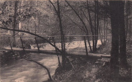 Luxembourg - SAINT HUBERT - VAL De POIX - Pont Rustique Dans La Foret - Saint-Hubert