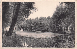 Luxembourg - SAINT HUBERT -  La Fontaine Et Le Parc - Saint-Hubert